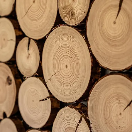 Nyaraló Hirsch Haensel Garten Mit Bergblick - Grill -wald