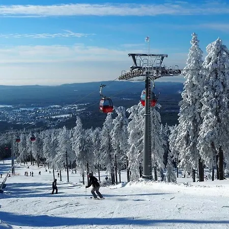 Hirsch Haensel Garten Mit Bergblick - Grill -wald Casa de Férias Torfhaus