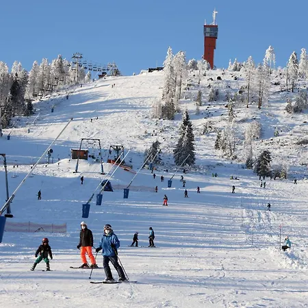 Hirsch Haensel Garten Mit Bergblick - Grill -wald