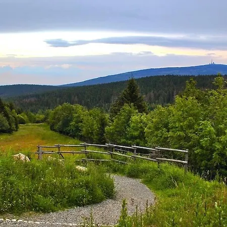 Hirsch Haensel Garten Mit Bergblick - Grill -wald