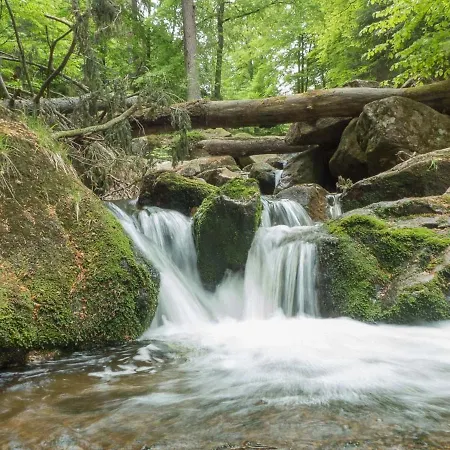 Hirsch Haensel Garten Mit Bergblick - Grill -wald * Torfhaus