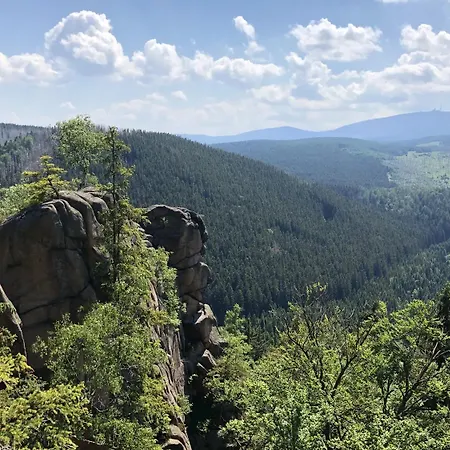 Hirsch Haensel Garten Mit Bergblick - Grill -wald