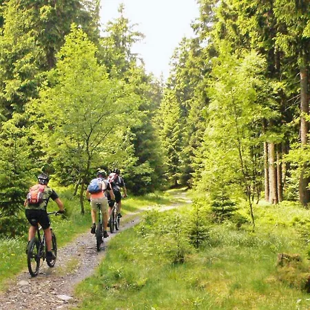 Hirsch Haensel Garten Mit Bergblick - Grill -wald Nyaraló