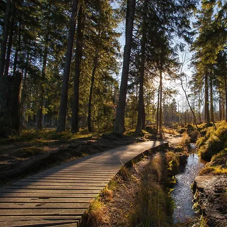 Casa de Férias Hirsch Haensel Garten Mit Bergblick - Grill -wald Torfhaus