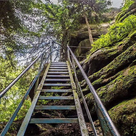 Hirsch Haensel Garten Mit Bergblick - Grill -wald