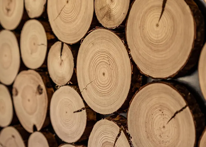 度假居 Hirsch Haensel Garten Mit Bergblick - Grill -wald