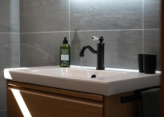 Hirsch Haensel Garten Mit Bergblick - Grill -wald * 托夫豪斯