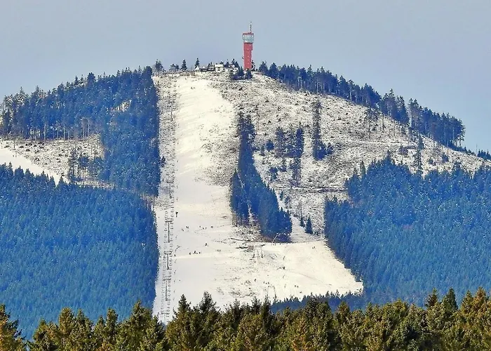 Hirsch Haensel Garten Mit Bergblick - Grill -wald 度假居 托夫豪斯