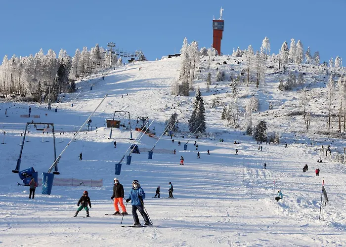 Hirsch Haensel Garten Mit Bergblick - Grill -wald