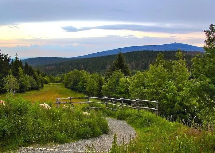 Hirsch Haensel Garten Mit Bergblick - Grill -wald