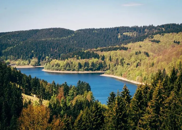Hirsch Haensel Garten Mit Bergblick - Grill -wald *