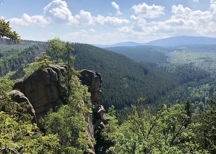 Hirsch Haensel Garten Mit Bergblick - Grill -wald