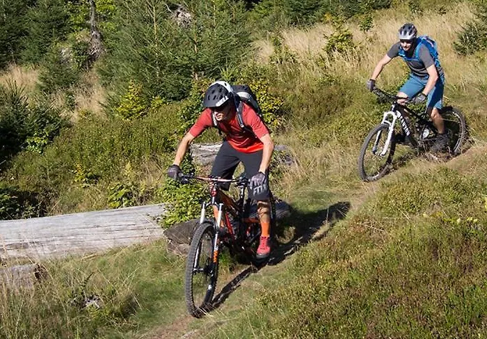 Hirsch Haensel Garten Mit Bergblick - Grill -wald *