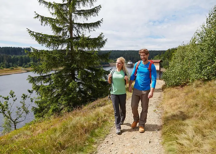 Hirsch Haensel Garten Mit Bergblick - Grill -wald * 托夫豪斯