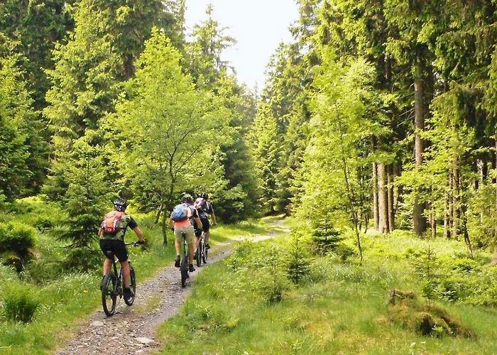 Hirsch Haensel Garten Mit Bergblick - Grill -wald 度假居