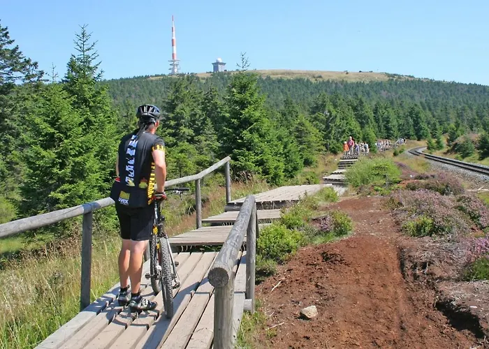 Hirsch Haensel Garten Mit Bergblick - Grill -wald 度假居 *