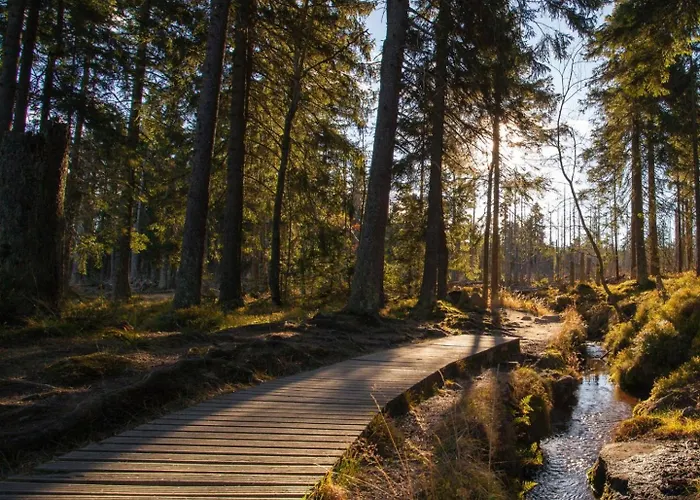 度假居 Hirsch Haensel Garten Mit Bergblick - Grill -wald 托夫豪斯