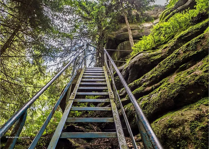 Hirsch Haensel Garten Mit Bergblick - Grill -wald